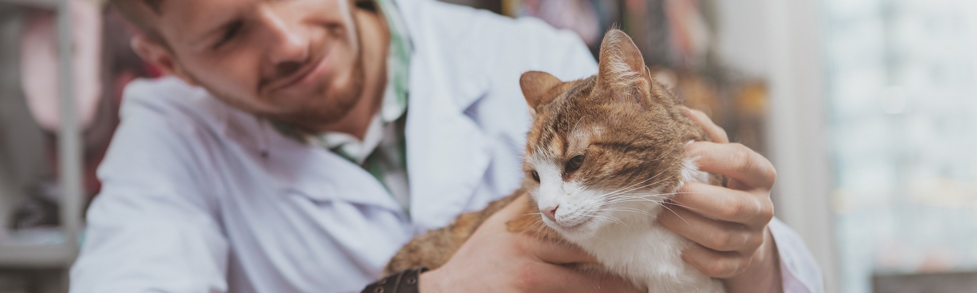 Veterinary Surgeon and Cat