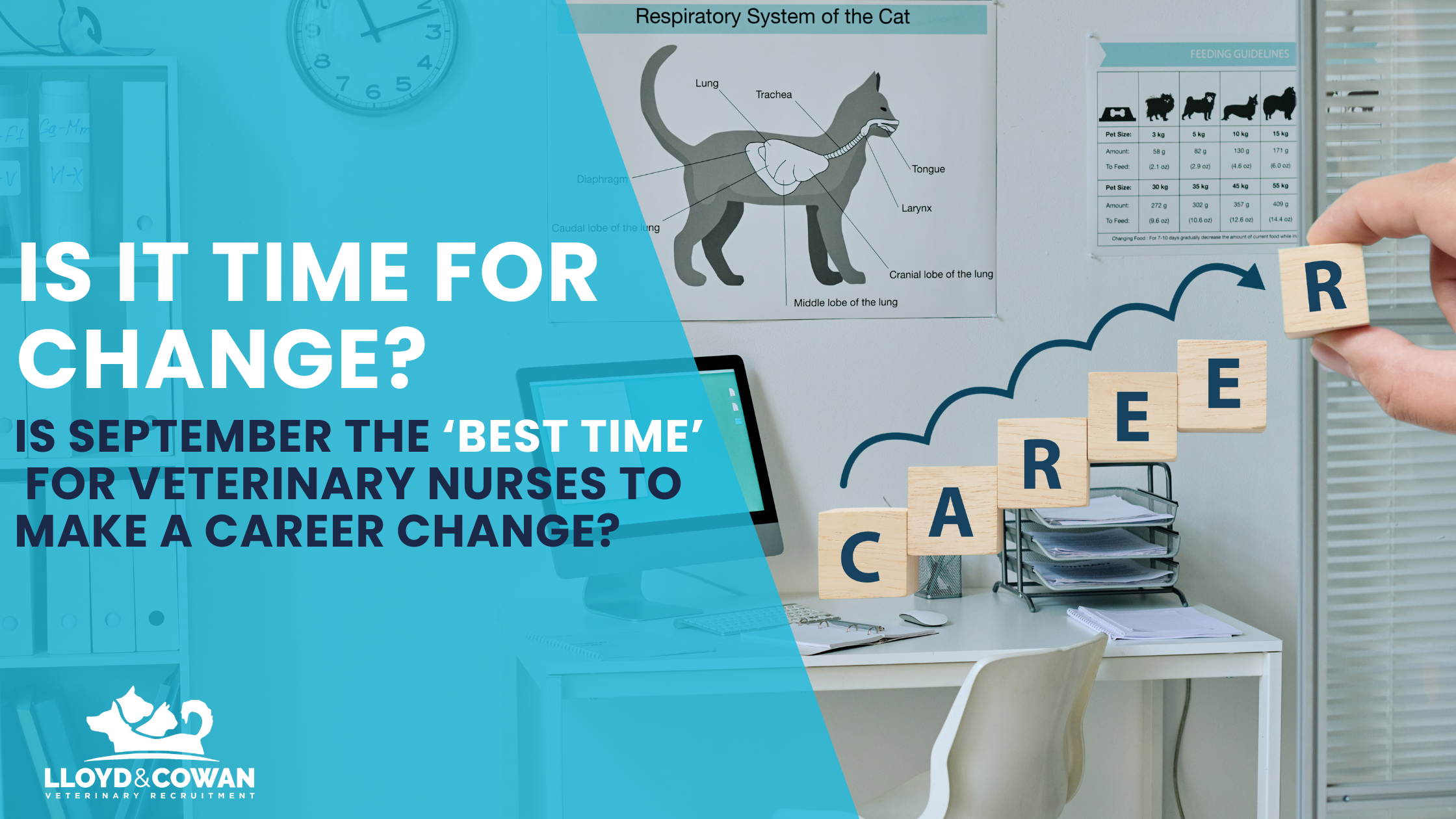 Is September the 'best time' for Veterinary Nurses to make a career change?