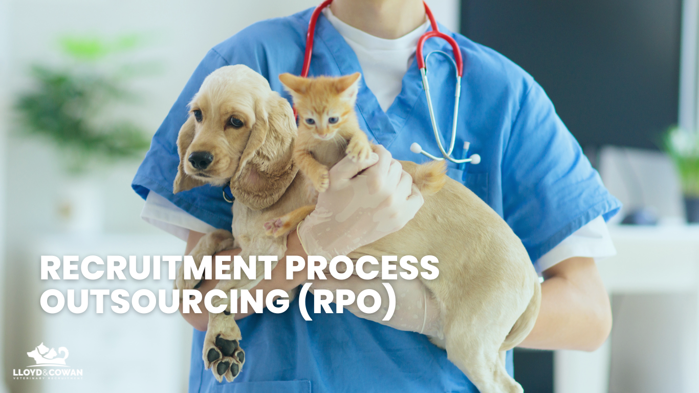 The Benefits of Recruitment Process Outsourcing (RPO) for Veterinary Practices