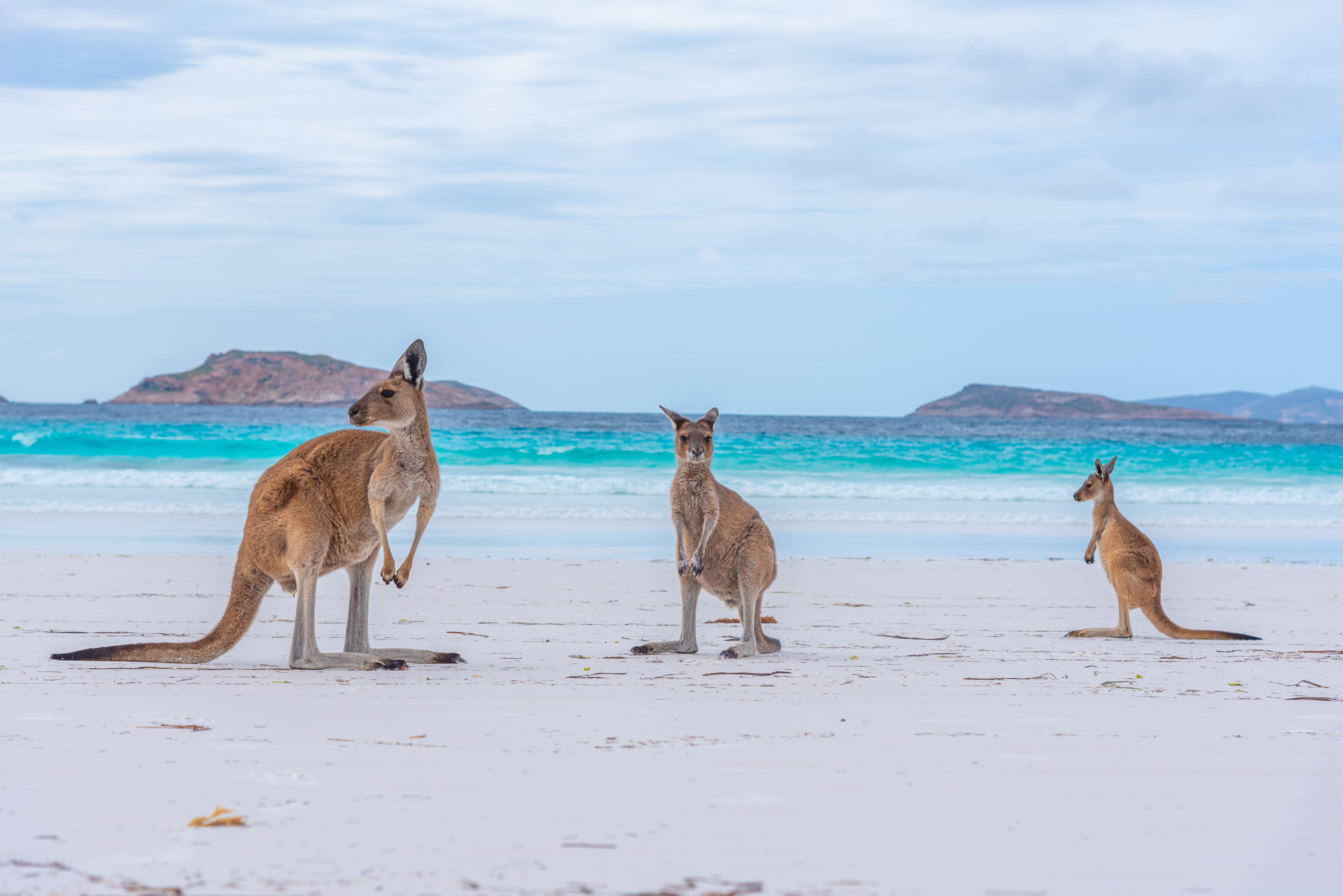 ​Exciting News for 2023 Graduates: Easier Visa Access to Australia!
